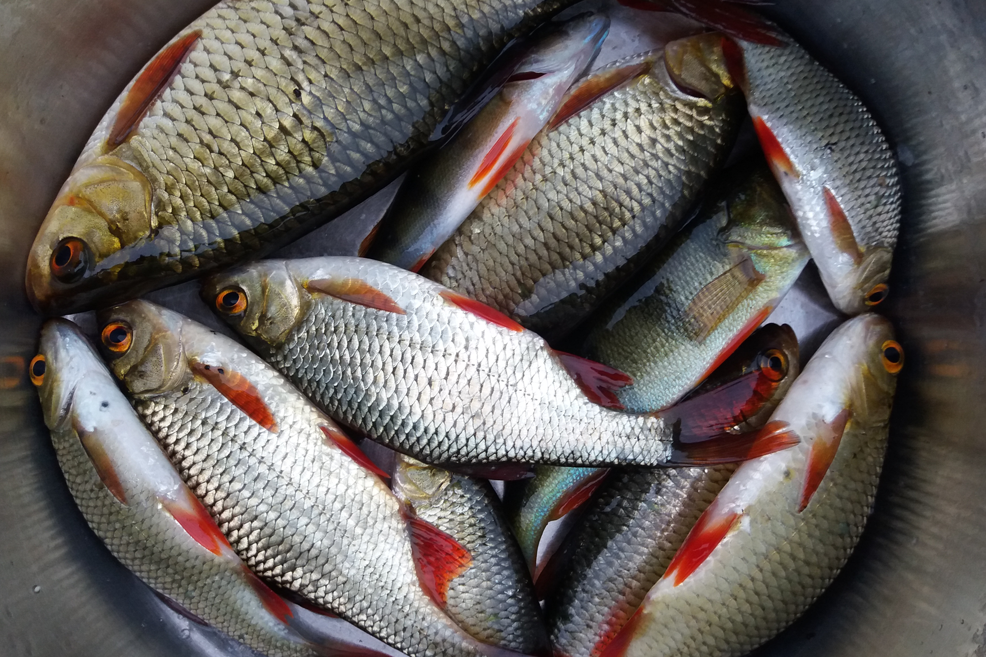 Рыбалка в Латгалии